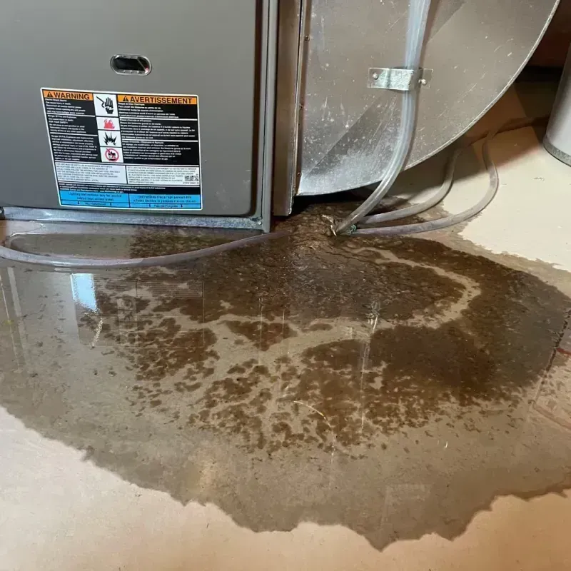 Appliance Leak Cleanup in Park Rapids, MN